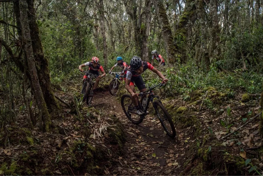 Cuatro ciclistas de ONE encadenando un sendero de raíces en bosque de niebla