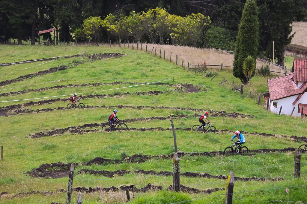 Ciclistas de montaña recorriendo un circuito de curvas cerradas sobre una ladera de pasto